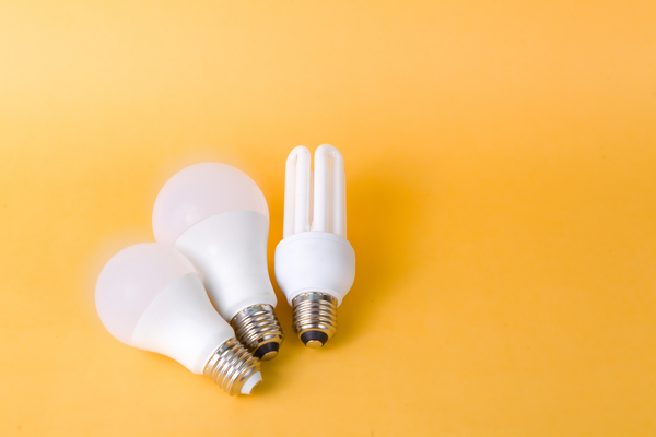 The History and Importance of National LED Light Day