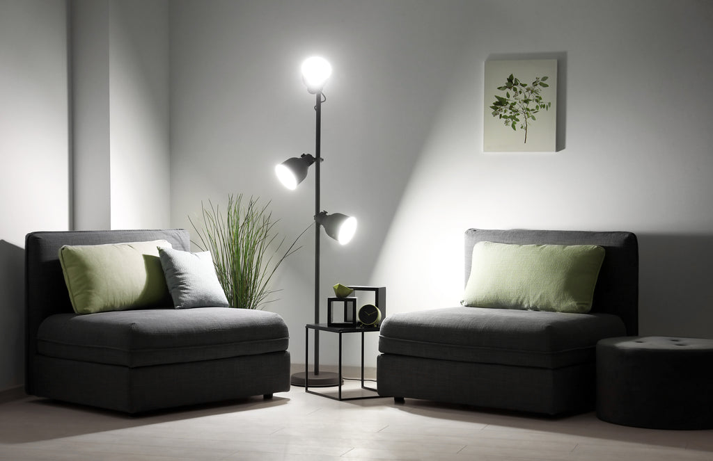 Brighten Your World with an A21 Ultra Bright LED Bulb