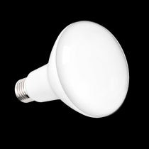 LED Bulbs