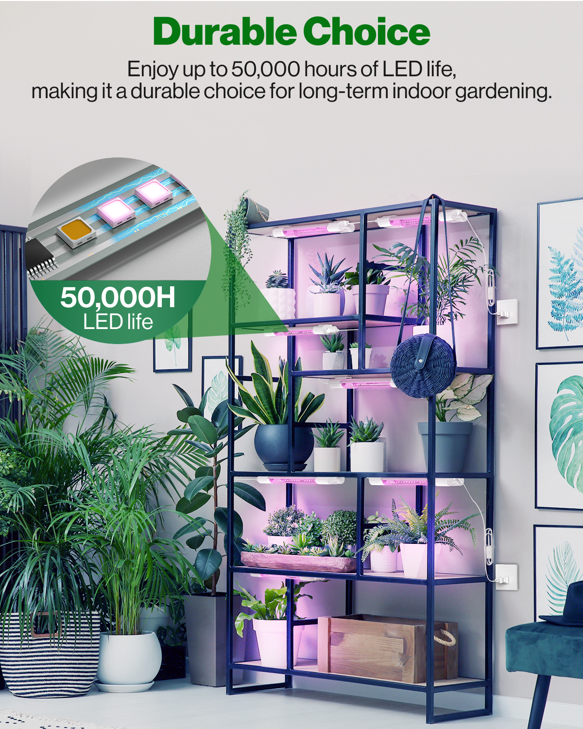 LED grow lights consume less power than traditional grow lights so you can save energy on large grow applications or your hydroponic garden. It also removes the heat issues of traditional lighting. This plug-and-play light fixture is engineered for long life with a 50,000 hour lifespan.