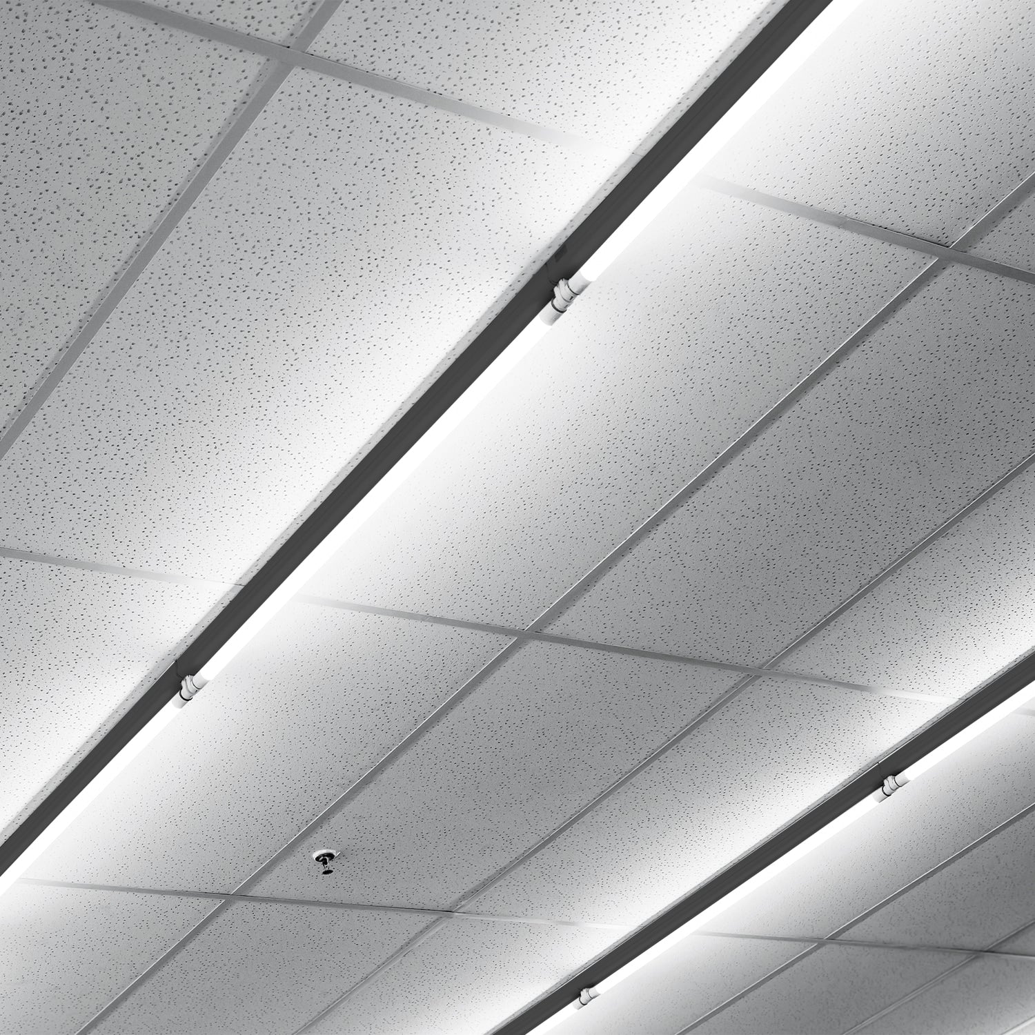 4ft T8 LED Ready Strip Light Fixture, Single-Lamp, Black, Non-Shunted, Single/Double Ended
