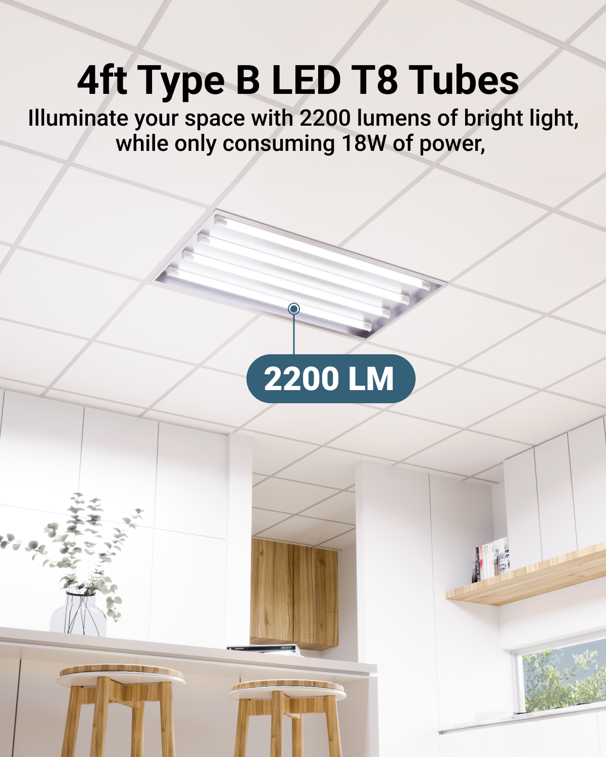 T8 LED Tube, 4ft, Frosted, Bypass, Type B, 18W, Single/Double Ended, 2200 Lumens