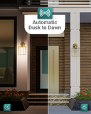 A19 LED Bulb, Filament, Dusk to Dawn Photocell, 9W, 850 Lumens