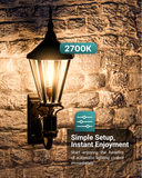 A19 LED Bulb, Filament, Dusk to Dawn Photocell, 9W, 850 Lumens