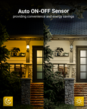 A19 LED Bulb, Yellow Bug Light, Dusk to Dawn Photocell, 480 Lumens