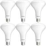 BR30 LED Bulb, High Lumen, 1600 Lumens