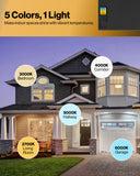 The selectable hues and dimming capabilities are ideal for visual sensitivity and fits any décor or mood.