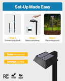 LED Solar Sidewalk Lights, Dusk to Dawn Photocell, 100 Lumens