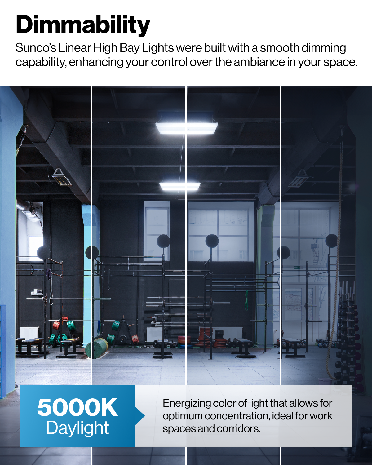 The ultra-bright and ambient features offer various dimming preferences for your space.