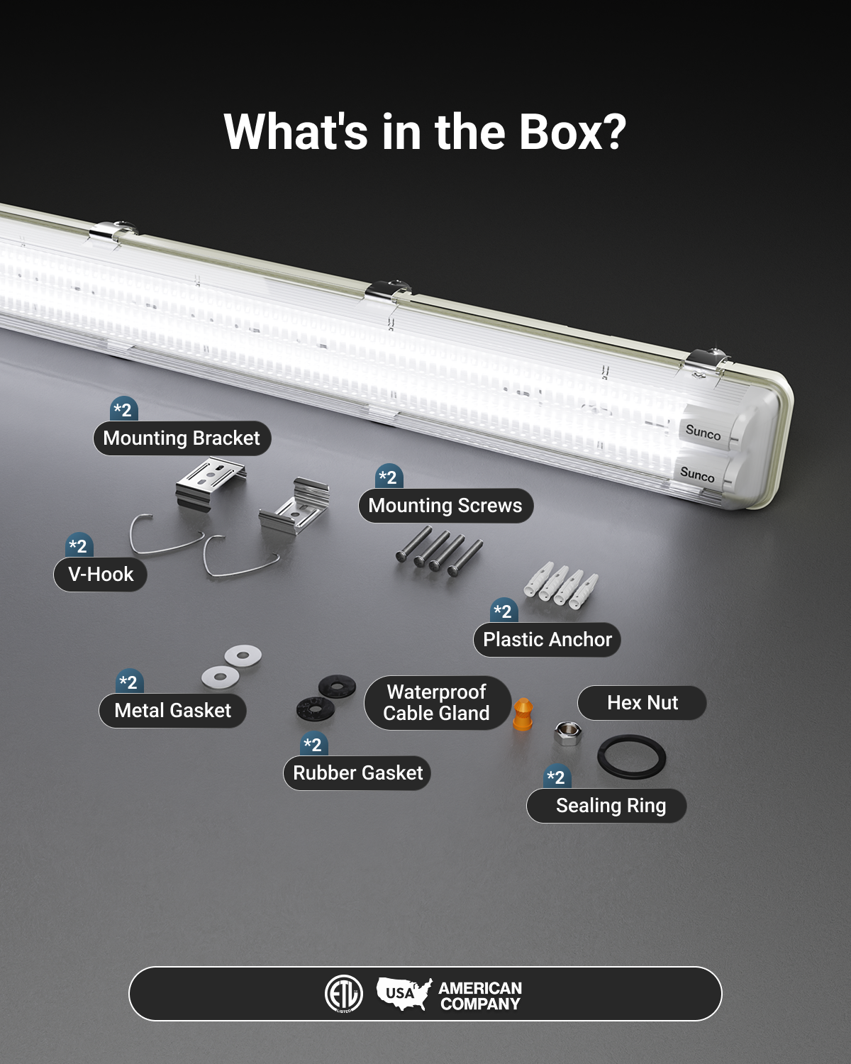 Comes with surface mount kit, V-hooks, and waterproof joint.