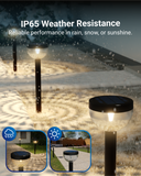 Solar Garden LED Path Lights, Round, Bloom, Dusk to Dawn Photocell