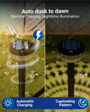 Solar Garden LED Path Lights, Round, Bloom, Dusk to Dawn Photocell