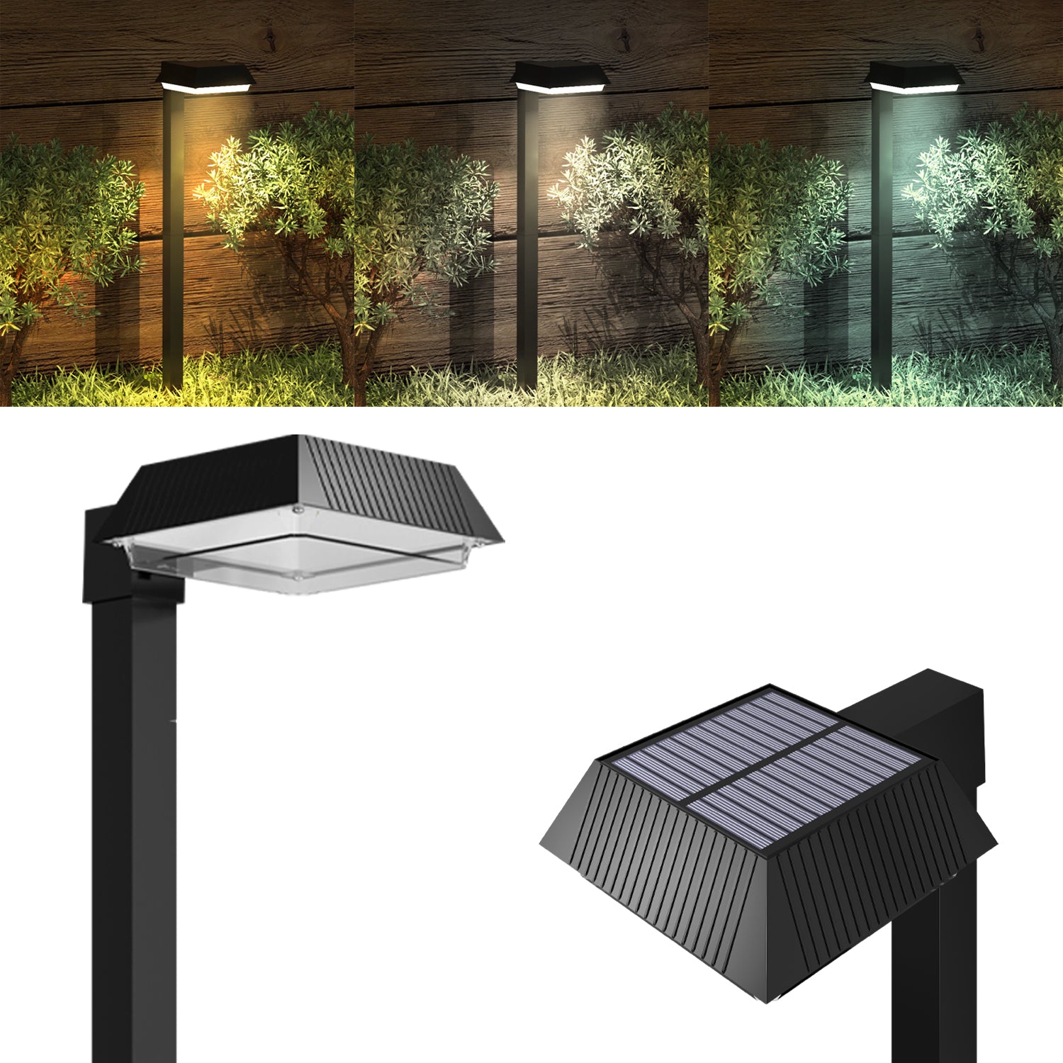 LED Solar Sidewalk Lights, Dusk to Dawn Photocell, 100 Lumens