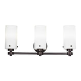 LED Bronze Finish Vanity Light, 22.5" Wide, 3-Light, 4498 Series