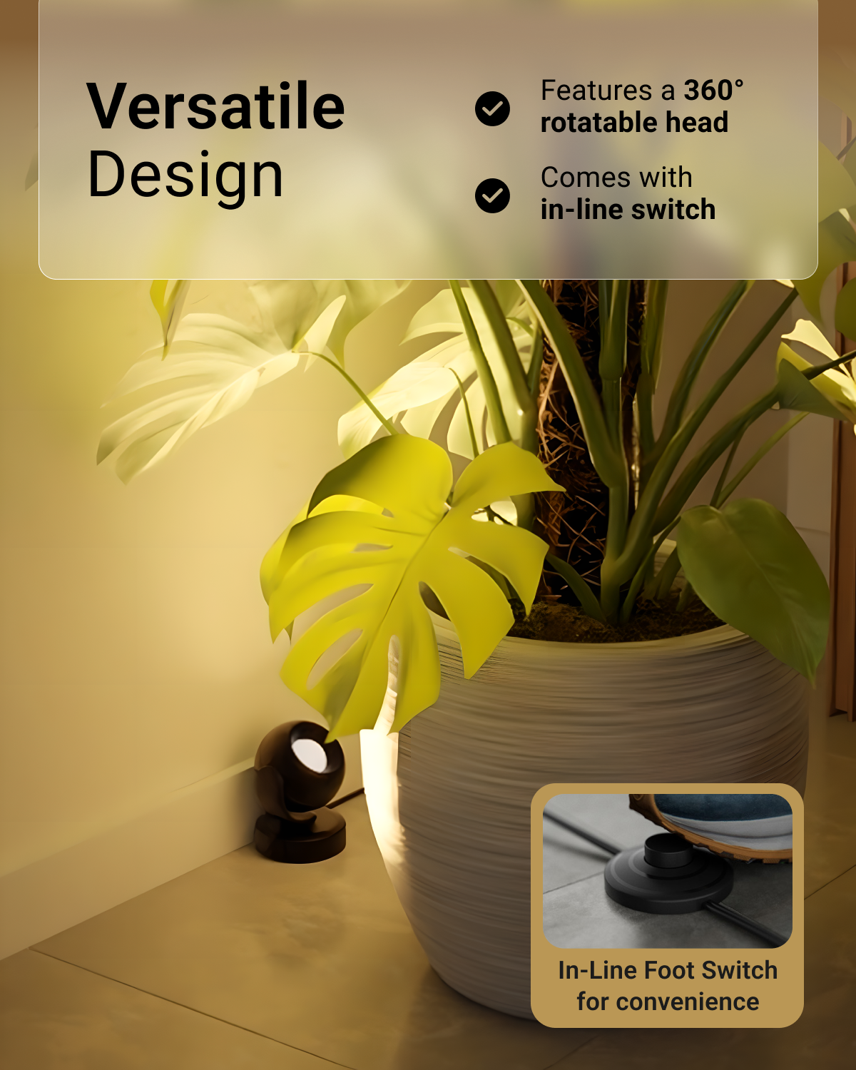 Light fixture with plant on a surface, highlighting features like 360-degree rotation and in-line switch.