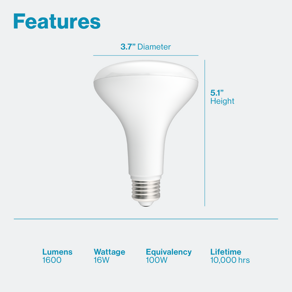 Light bulb store sizes br30