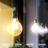 G25 LED Bulb, Filament, Dusk to Dawn Photocell, 350 Lumens