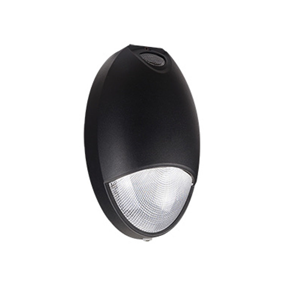 LED Outdoor Emergency Light, 12W, 1050 Lumens