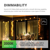 A15 LED Bulb, Yellow Bug Light, 600 Lumens