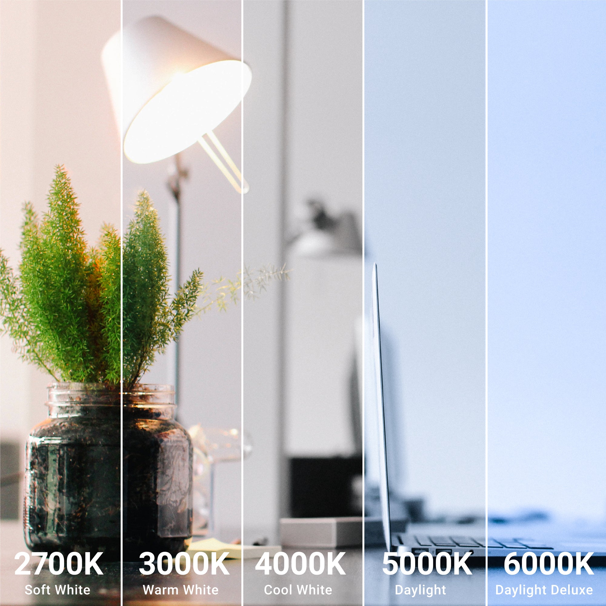 A15 LED Bulb, 800 Lumens