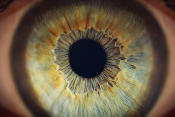 Why Is Staring at The Sun Bad?