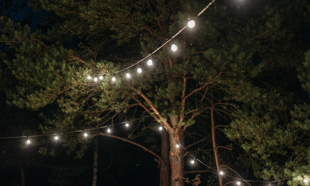 Your Backyard Is One Light Away from Actually Being Used
