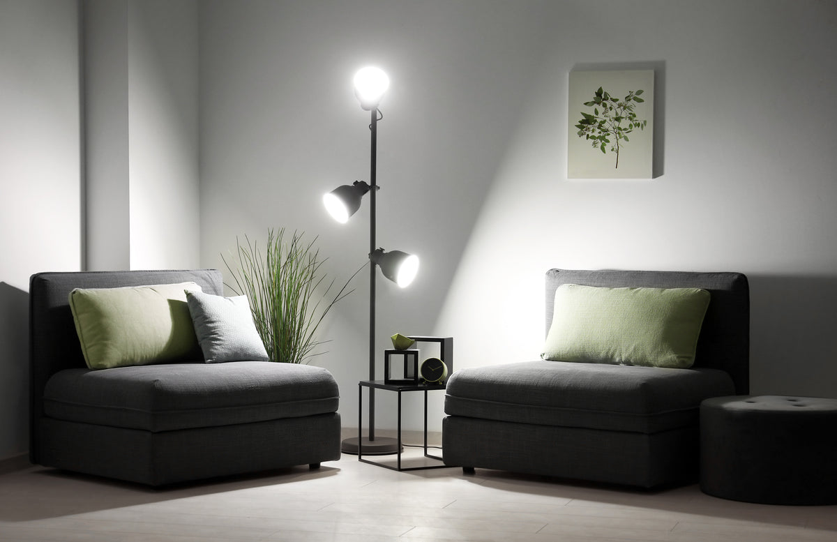 Brighten Your World with an A21 Ultra Bright LED Bulb