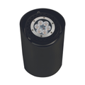 Black open-face multi-led well light