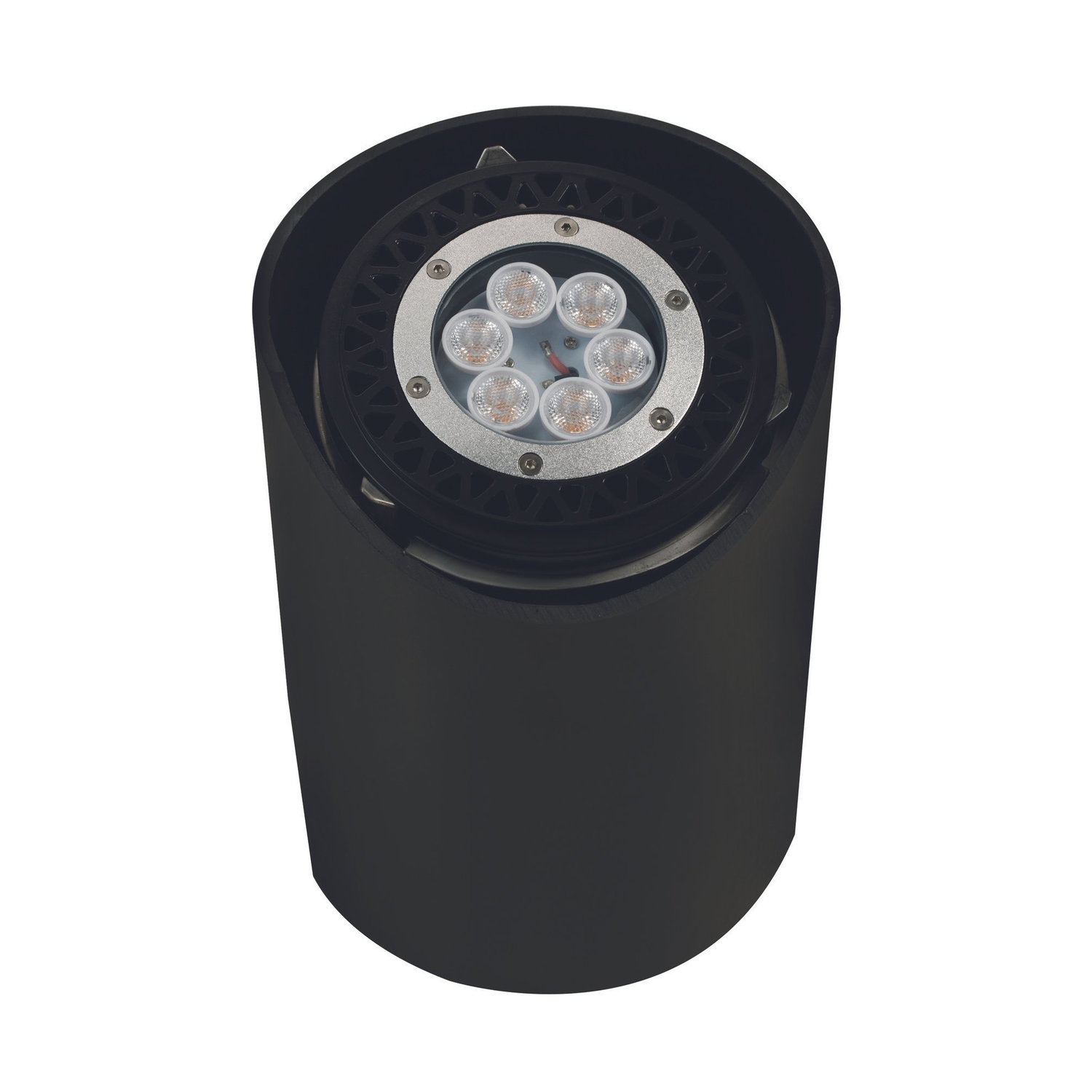 Black open-face multi-led well light