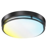 The 16" Selectable Ceiling Light Fixture (Black) is a low-profile addition to 
your home or office, providing a clean and modern look.