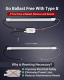 T8 LED Tube, 2ft, Clear Glass, Bypass, Type B, 10W, Single/Double Ended, 1200 Lumens