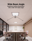 T8 LED Tube, 2ft, Frosted Glass, Bypass, Type B, 10W, Single/Double Ended, 1200 Lumens