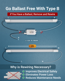 T8 LED Tube, 2ft, Frosted Glass, Bypass, Type B, 10W, Single/Double Ended, 1200 Lumens