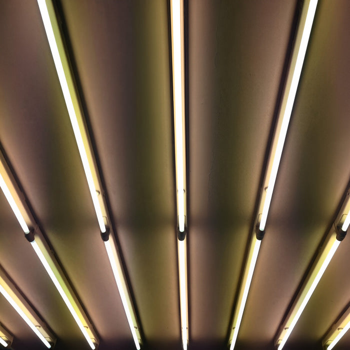 T8 LED Tube, 3ft, Frosted, Bypass, Type B, 12W, Single Ended, 1400 Lumens
