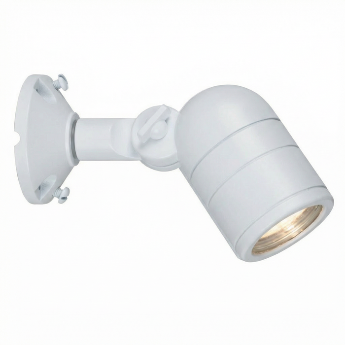 White lensed adjustable bullet downlight with round canopy