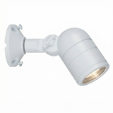 White lensed adjustable bullet downlight with round canopy