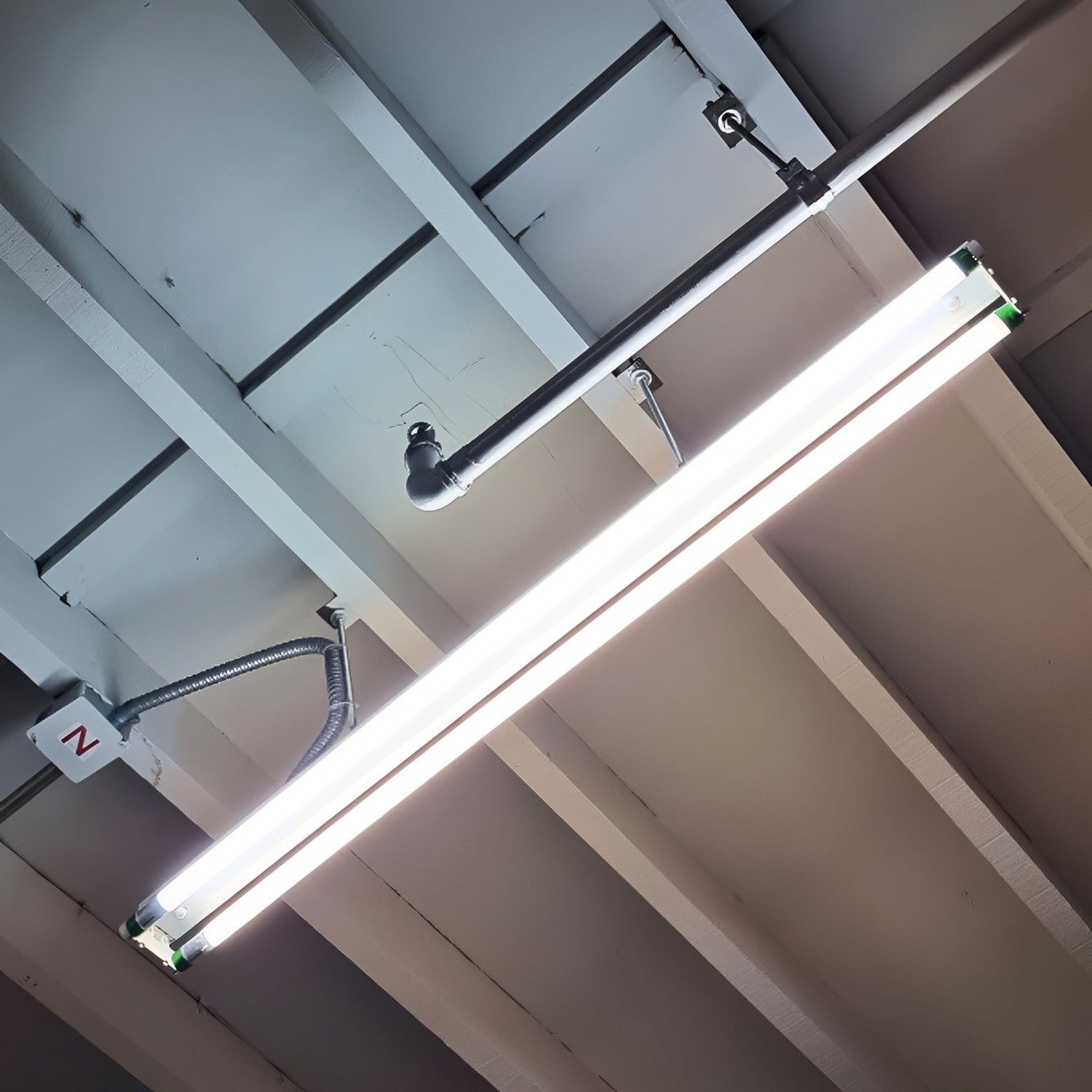 T5 LED Tube, 4ft, Frosted, Bypass, Type B, 13W, Single Ended, 1800 Lumens