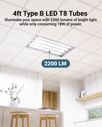T8 LED Tube, 4ft, Frosted, Bypass, Type B, 18W, Single/Double Ended, 2200 Lumens