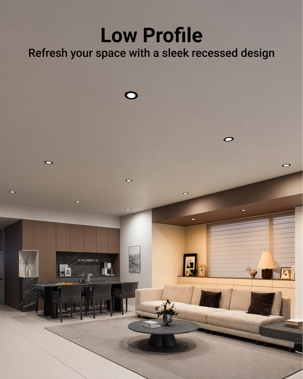 Open living space with small black recessed lights in the ceiling and a “Low Profile” headline