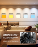 Recessed LED Lighting, 4 Inch, Trimless, Smooth Trim, Selectable CCT, 1000 Lumens