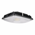 LED Canopy Light, 60W/46W/35W/24W, Black, Selectable Wattage & CCT, 8400 Lumens