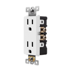 ENL-61501