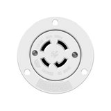 ENL-66804-W