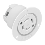 ENL-66804-W