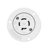 ENL-66904-W