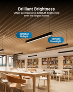 Easily dim the lights to adjust the level of brightness.