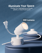 Ideal for various indoor areas and scenes such as living rooms, dining areas, dens, bedrooms, potted plants, artwork, collections, and more.