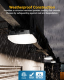 LED Canopy Light, 60W, 8000 Lumens