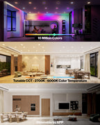 Illuminate your space with selectable hues that are also ideal for visual sensitivity.