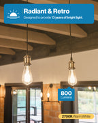 ST64 LED Bulb, Filament, 800 Lumens